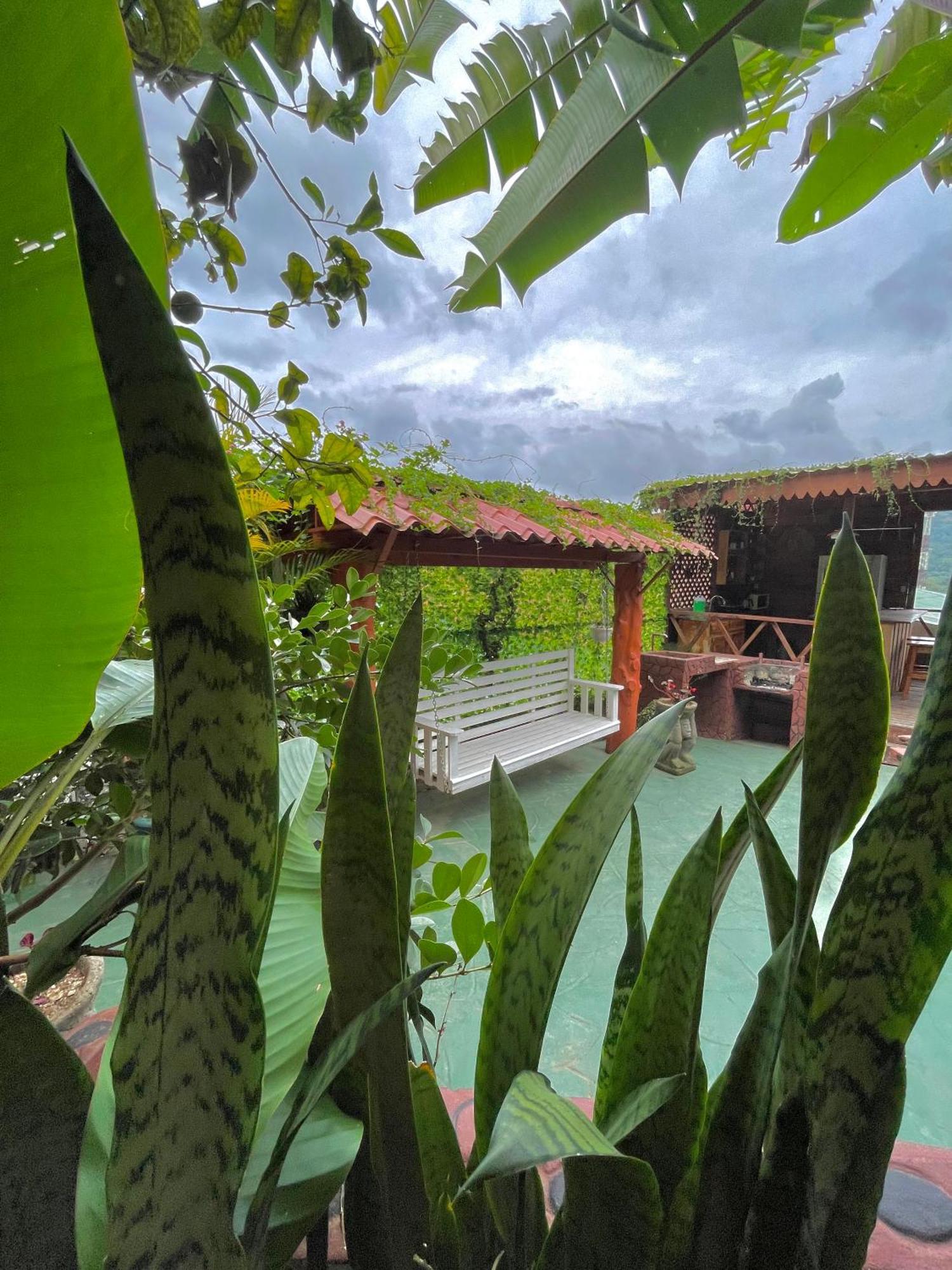 Dreams Lodge Orosi 카르타고 외부 사진
